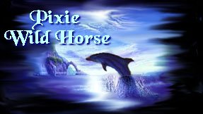 Pixie Wild Horse